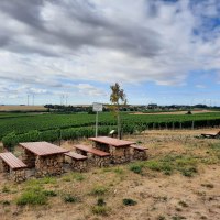 Sitzplatz Junghennblick Uelversheim 2 © TSC Rhein-Selz