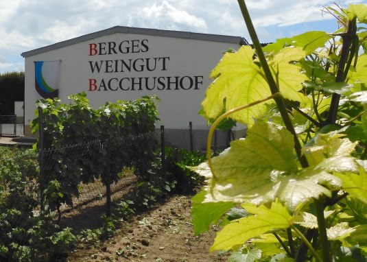 Weingut Bacchushof Dexheim 01 &copy; Lothar Krug