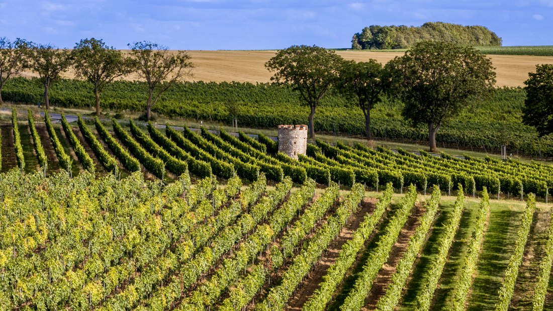 Ober-Fl&ouml;rsheimer Bl&uuml;cherpfad