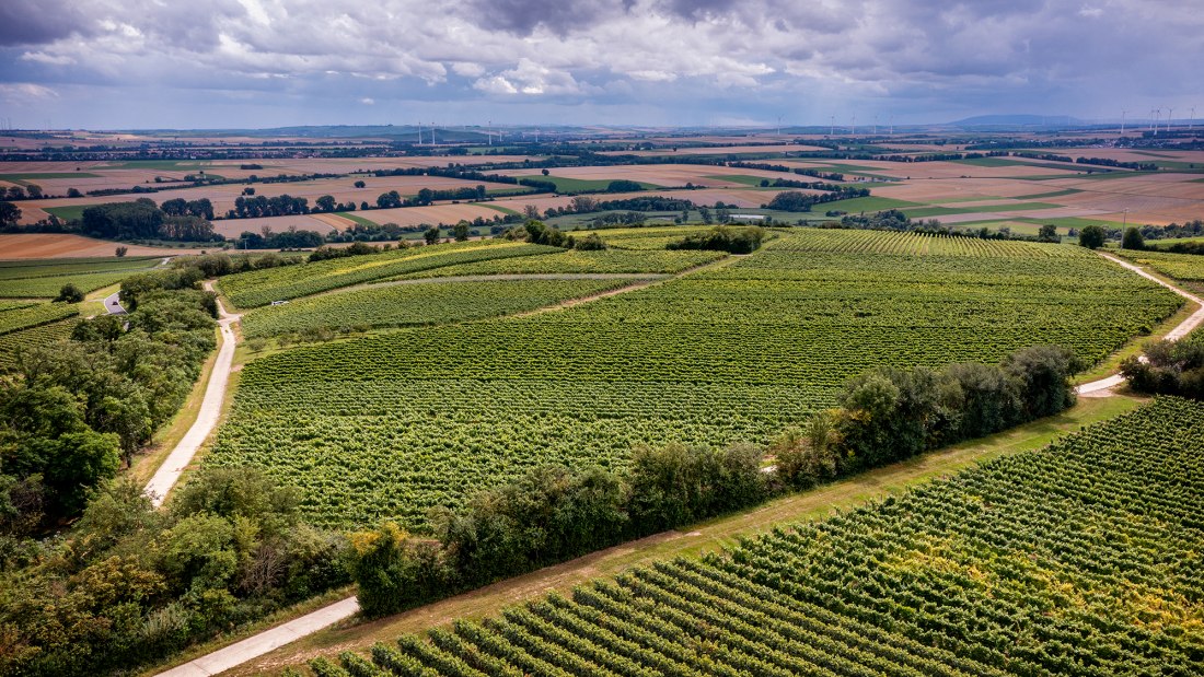 Zornheimer Vogelsang