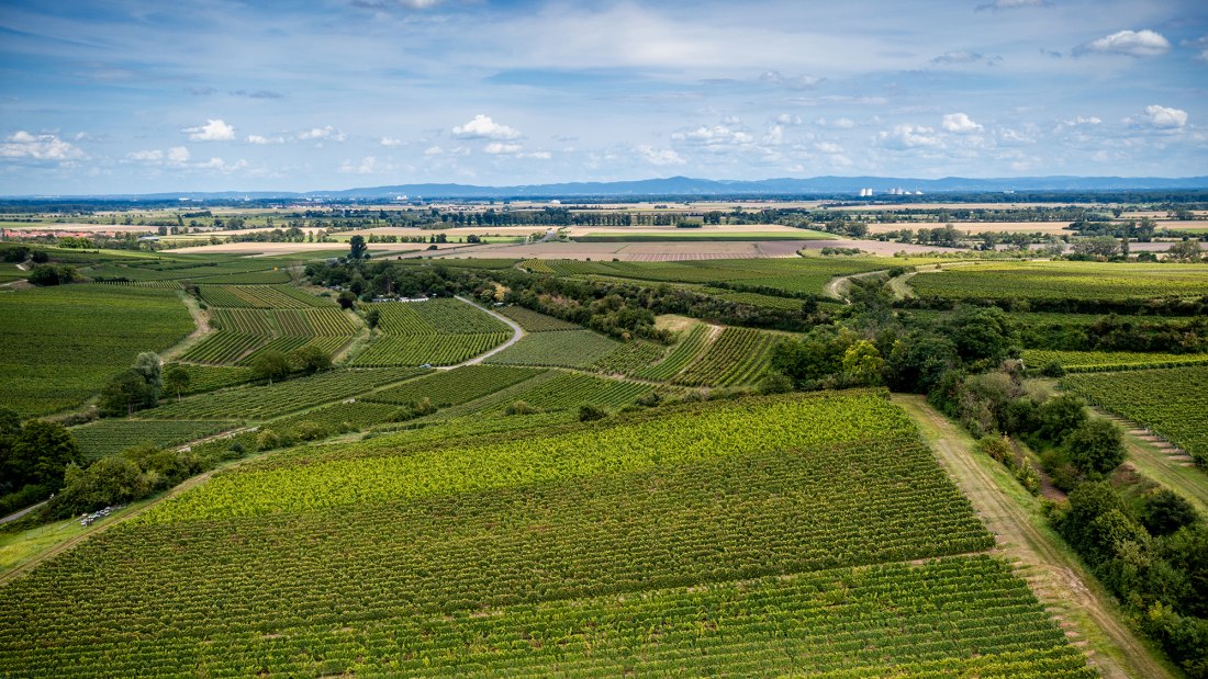 Bechtheimer Stein