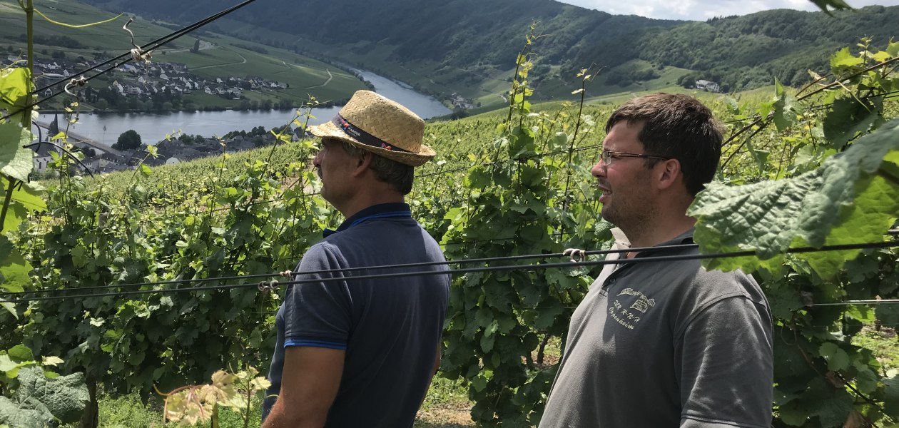 Weingut Fischborn Bergeshof_Weinberge, &copy; Weingut Fischborn Bergeshof