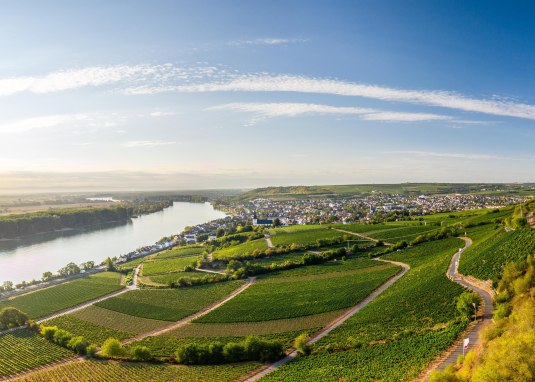 Brudersberg Sch&ouml;nste Weinsicht, Nierstein &copy; Dominik Ketz, Rheinhessen-Touristik GmbH