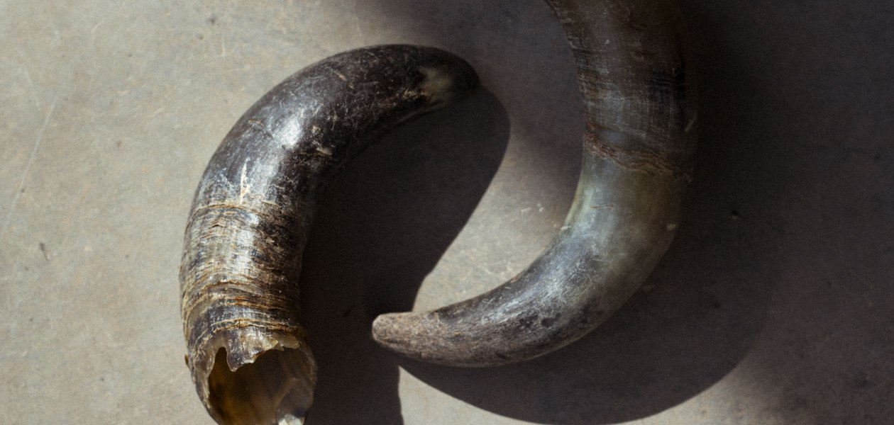 24-08-06_BiankaundDaniel_hr, &copy; LGreiner-Medienagenten