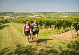 WeinWanderWochenende, &copy; Dominik Ketz