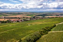 S&ouml;rgenlocher Moosberg