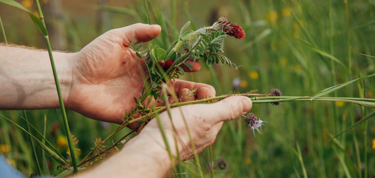 krugerrumpf_0521_&copy;peterbender_0046_WEB, &copy; Peter Bender