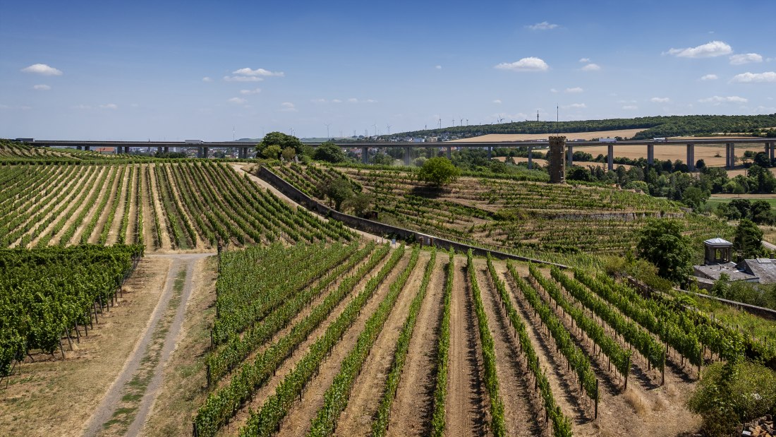 Weinheimer Heiliger Blutberg, © Torsten Silz