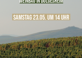 Regen Reben Resilienzen, &copy; Heinrich B&ouml;ll Stiftung Rheinland-Pfalz e.V.
