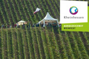 Weinpr&auml;sentation_Roter Hang, &copy; Ullrich Knapp