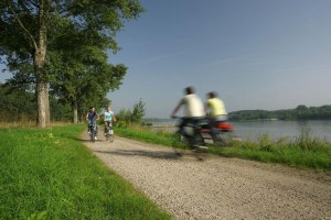 Rheinradweg, &copy; Marcus Gloger