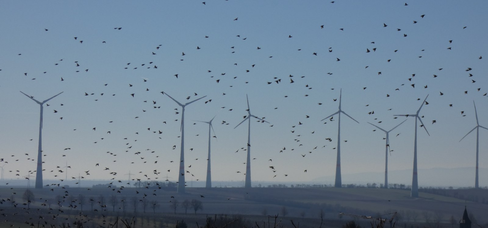 Wintersheim, Vogelflug, © TSC Rhein-Selz