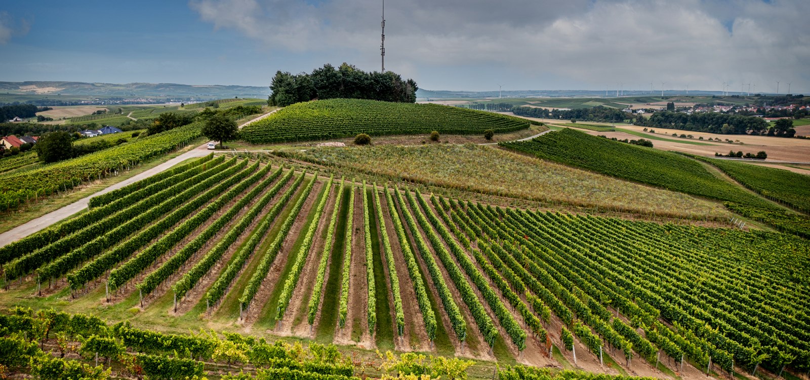 Frei-Laubersheimer Fels