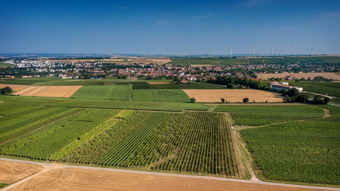 Saulheimer H&ouml;lle