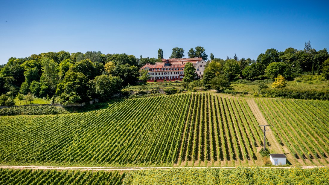 Ingelheimer Schloß Westerhaus