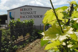 Weingut Bacchushof Dexheim 01, &copy; Lothar Krug