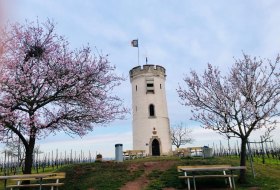 Wartturm Nierstein &copy; Heike Sehlinger
