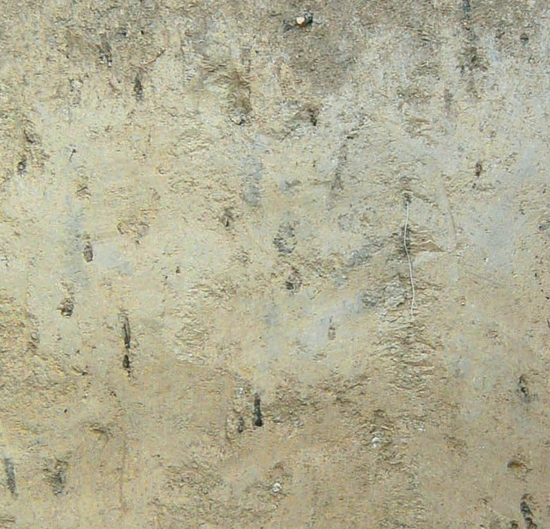 Loess Pararendzina&nbsp;, &copy; Landesamt f&uuml;r Geologie und Bergbau Rheinland-Pfalz