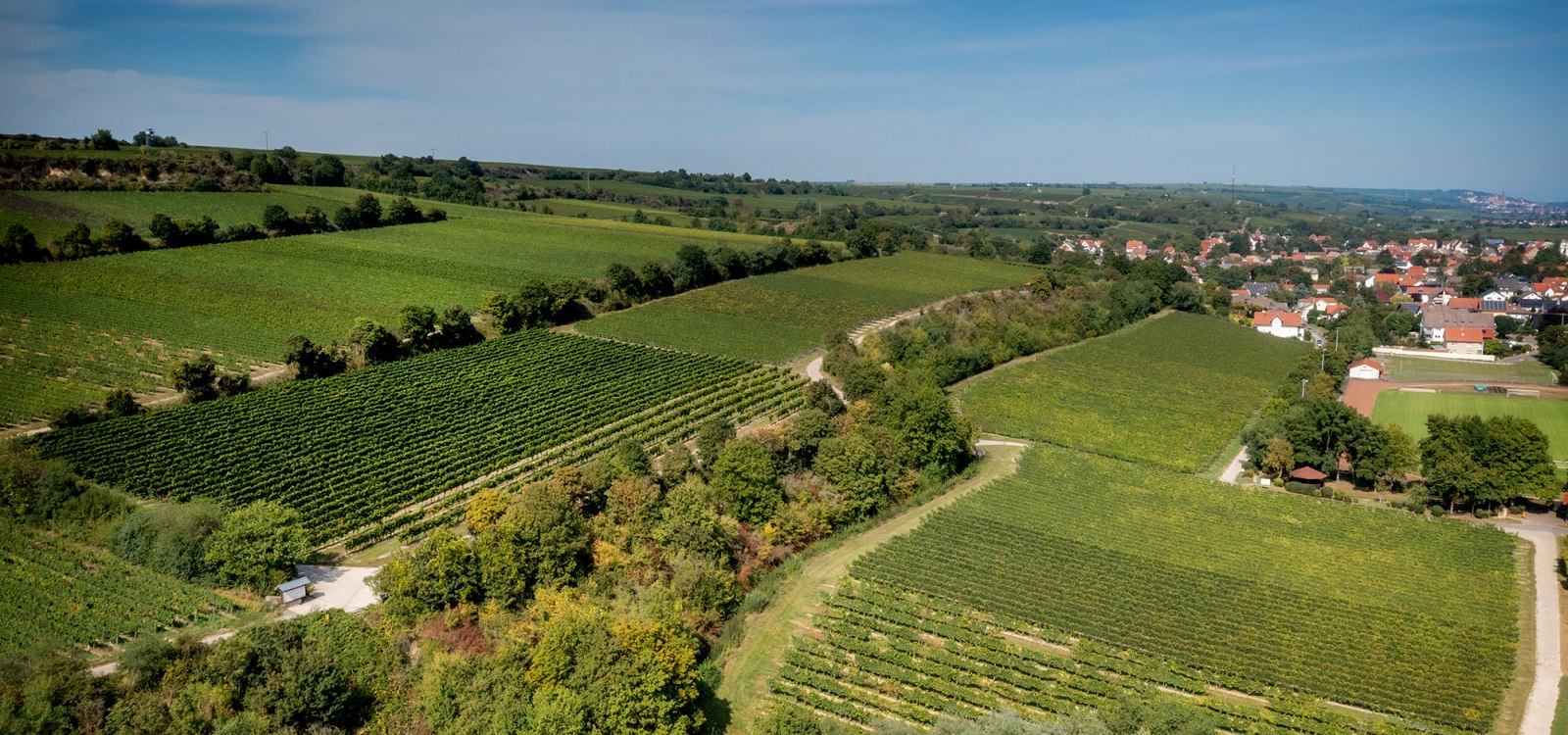 Guntersblumer Bornpfad