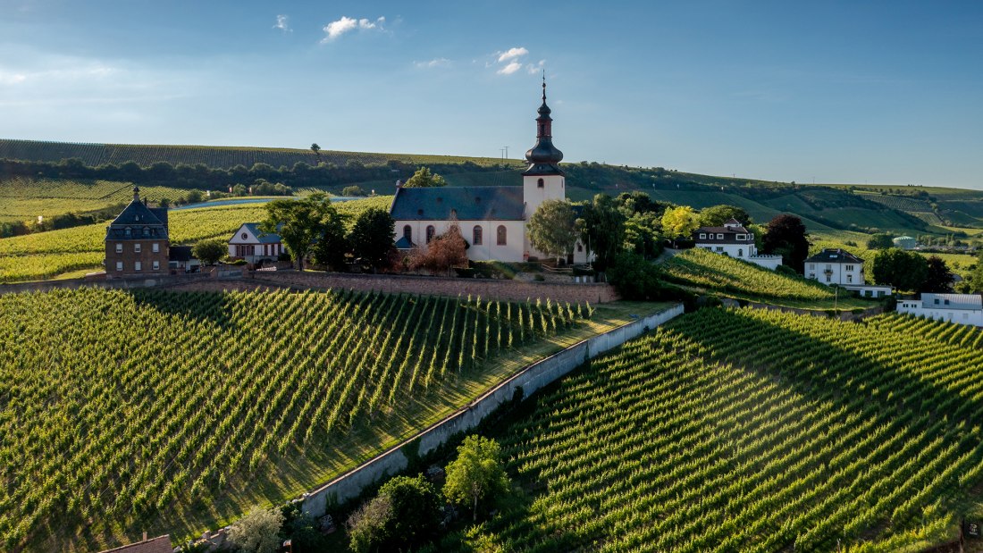 Niersteiner Glöck