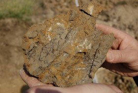 Tonmergel Pelosol &copy; Landesamt f&uuml;r Geologie und Bergbau Rheinland-Pfalz