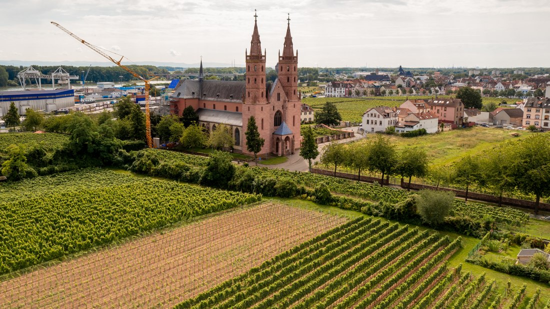Wormser Liebfrauenstift Kirchenst&uuml;ck