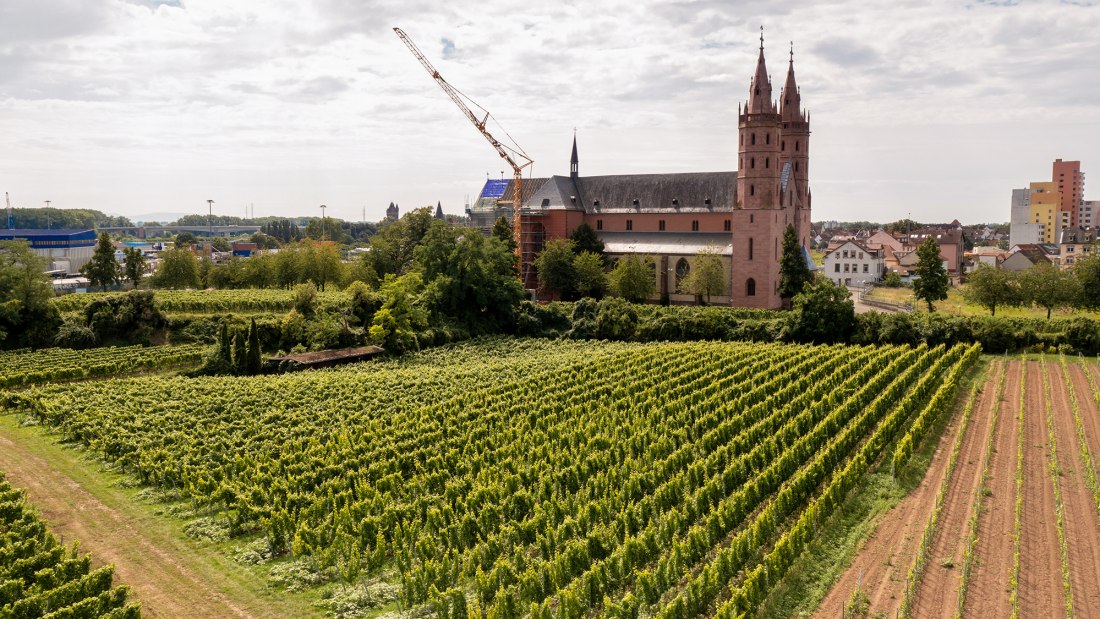 Wormser Liebfrauenstift Kirchenst&uuml;ck