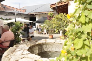 Moonlight Schorle 1, &copy; Weingut Lindenhof Kr&ouml;hler