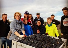 Handlese St. Laurent 2020, © Weingut Dätwyl