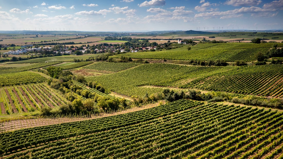 Hillesheimer Altenberg