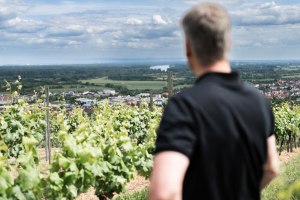 Fr&uuml;hjahrsweinprobe Weingut Martinshof, &copy; Weingut Martinshof