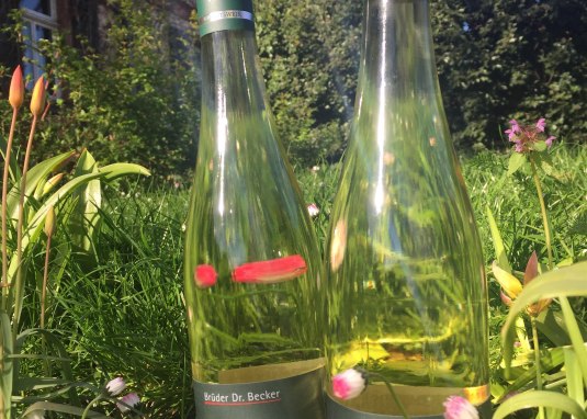 Spaziergang © Weingut Brüder Dr. Becker, Ludwigshöhe