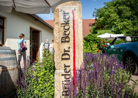 Willkommen im Weingut Br&uuml;der Dr. Becker &copy; Weingut Br&uuml;der Dr. Becker