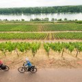 Radfahren am Roten Hang mit Blick auf den Rhein © Dominik Ketz