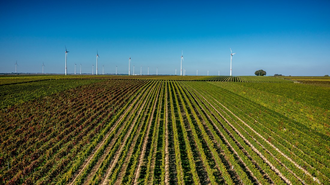 Biebelnheimer Pilgerstein