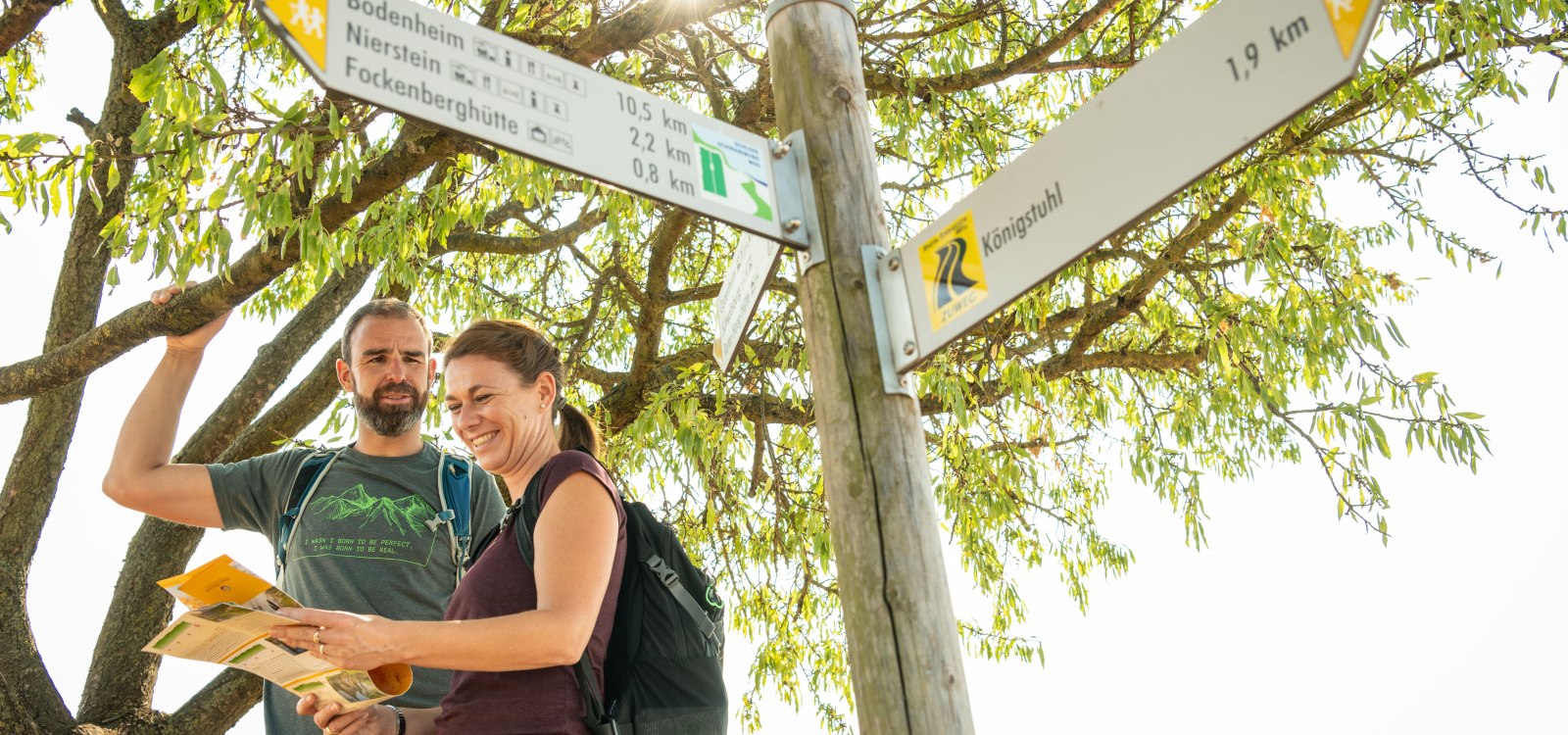 Zwei Wanderer stehen an einem Wegweiser unter einem Baum und blicken auf eine Wanderkarte