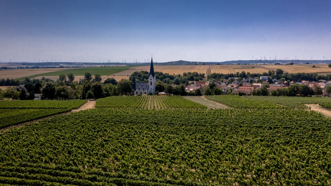 Gabsheimer Rosengarten