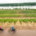 Radfahren am Roten Hang mit Blick auf den Rhein &copy; Dominik Ketz