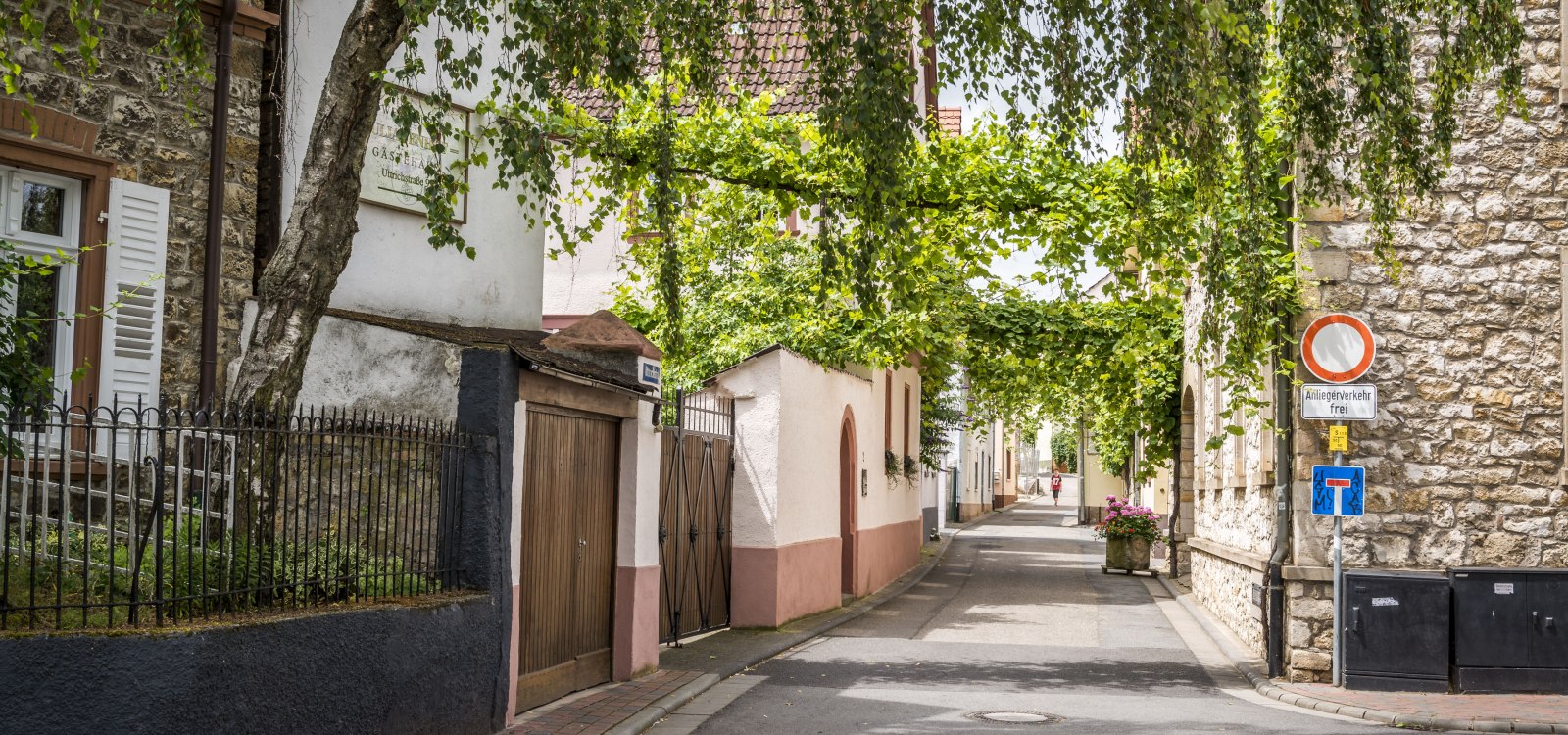 Schmale Straße in einem ruhigen Wohnviertel mit alten Häusern, Bäumen und Verkehrsschildern am Straßenrand