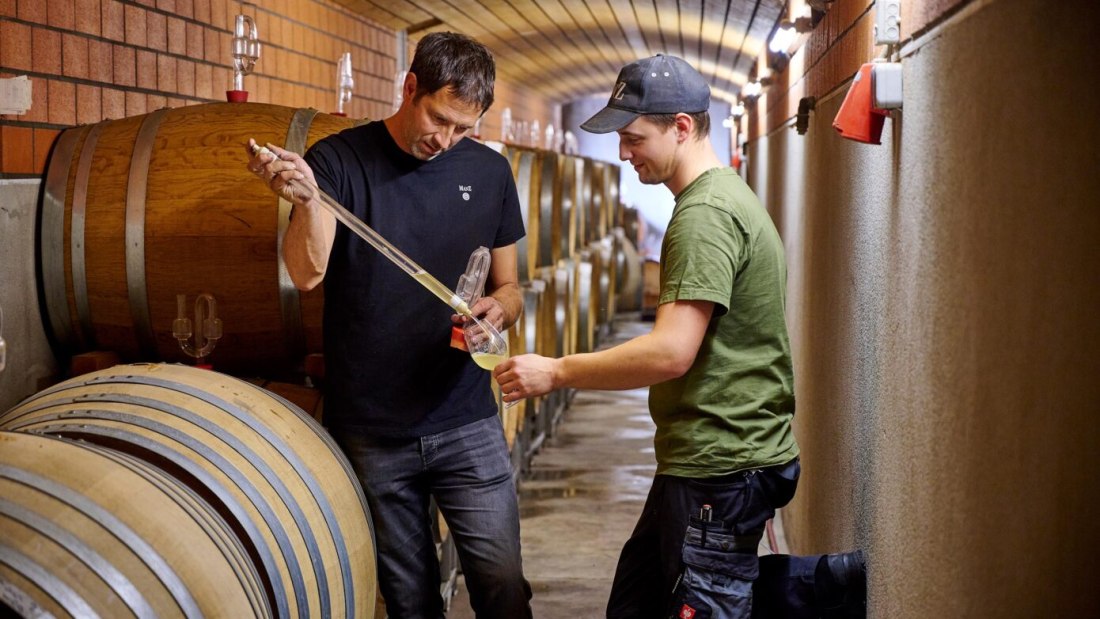 Weingut Manz_Arbeit im Keller, &copy; Weingut Manz