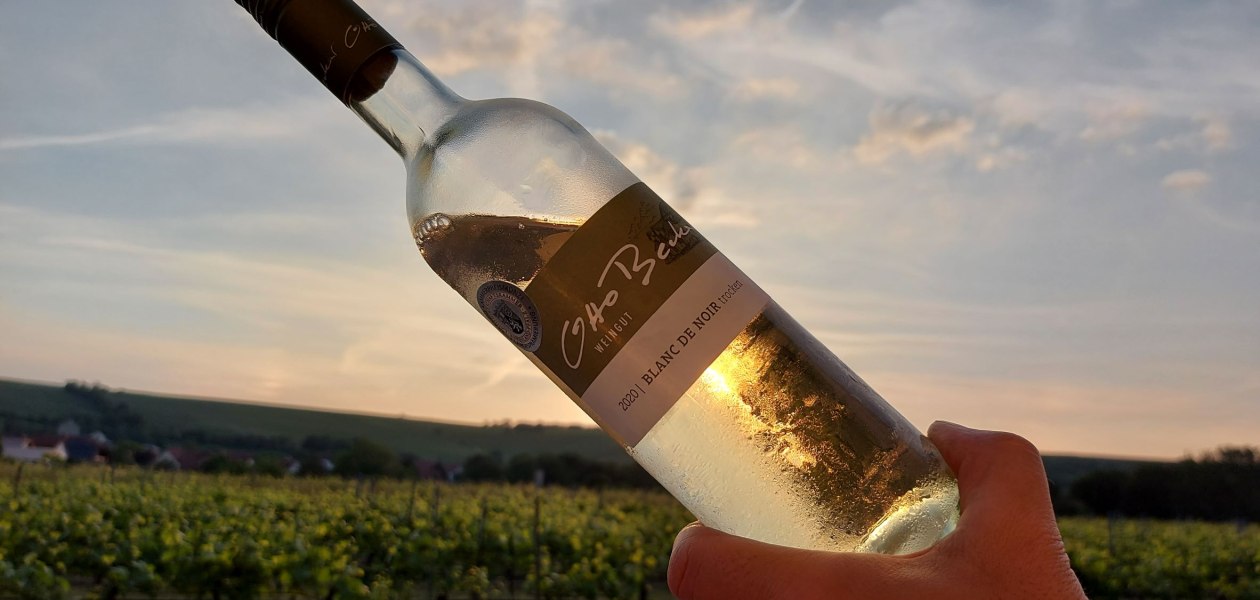 Weingut Otto Becker_bei Sonnenuntergang, &copy; Weingut Otto Becker