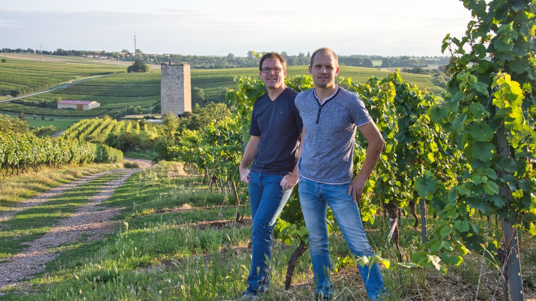 Weingut Georg Gustav Huff_Winzer im Weinberg, &copy; Weingut Georg Gustav Huff
