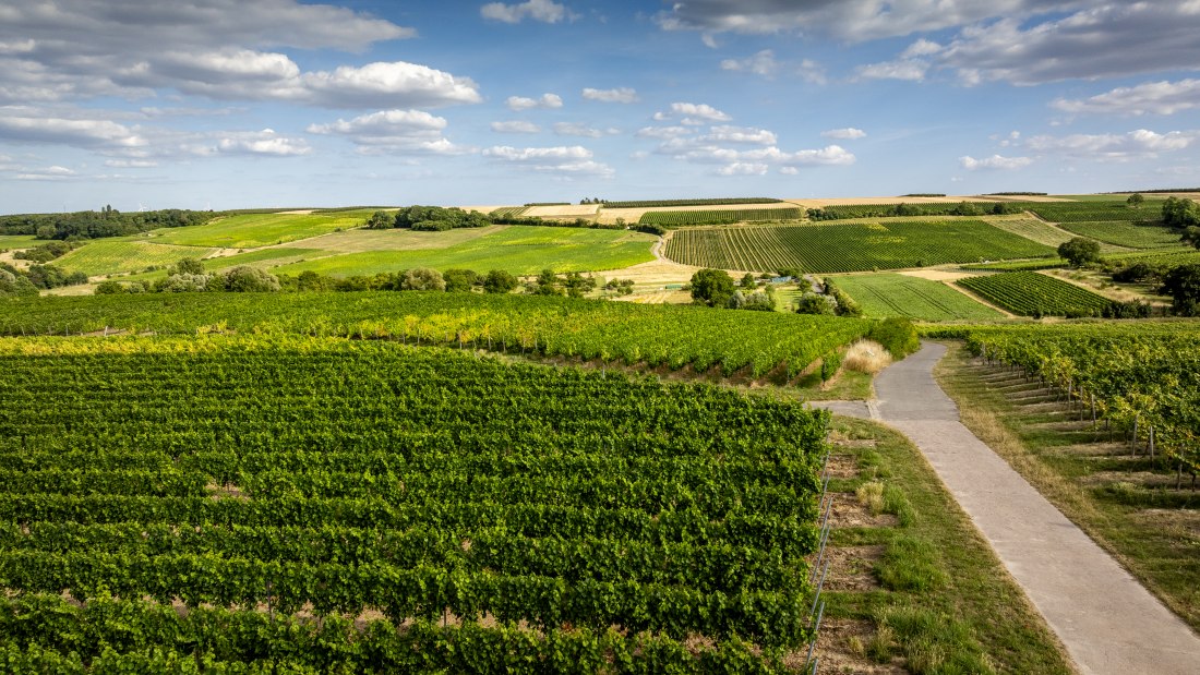 Partenheimer Sankt Georgen, © Torsten Silz