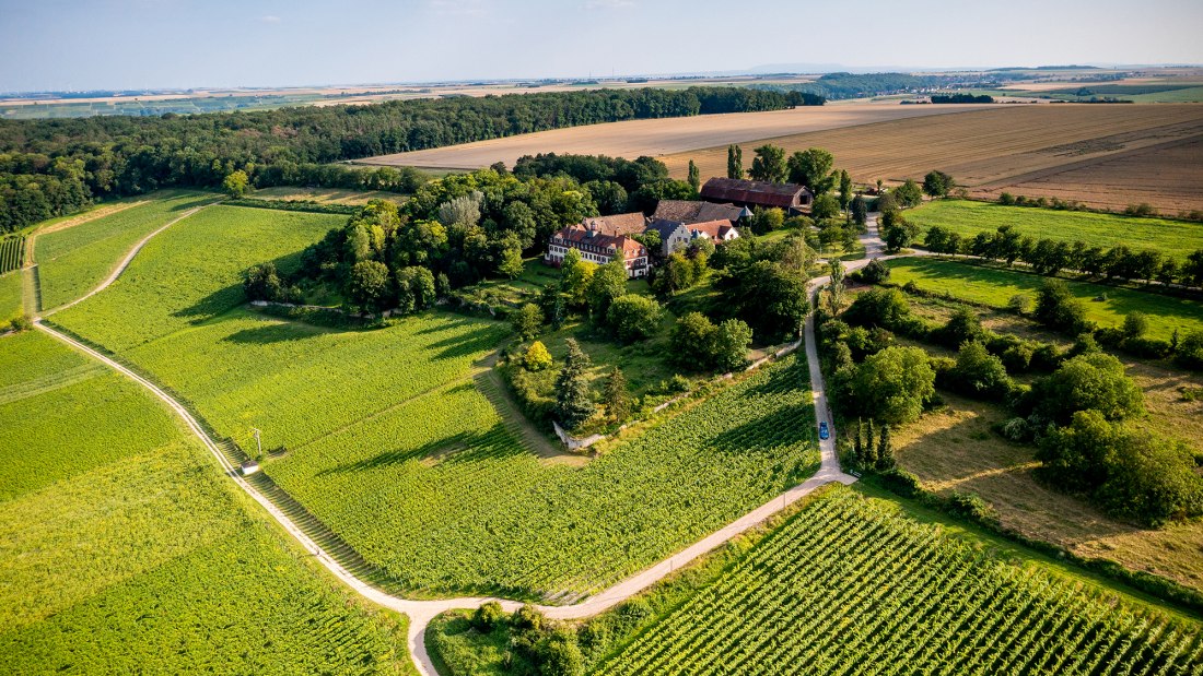 Ingelheimer Schloß Westerhaus