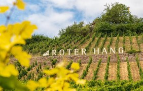 Roter Hang Schriftzug &copy; Rheinhessen-Touristik GmbH, Dominik Ketz