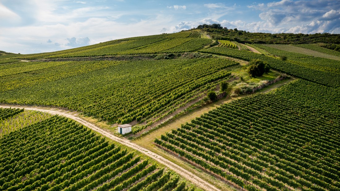 Gau-Odernheimer Herrgottspfad