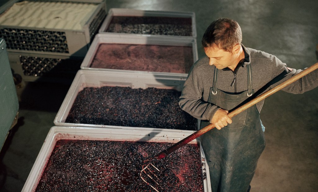 Lorenz_Maische, © Weingut Lorenz