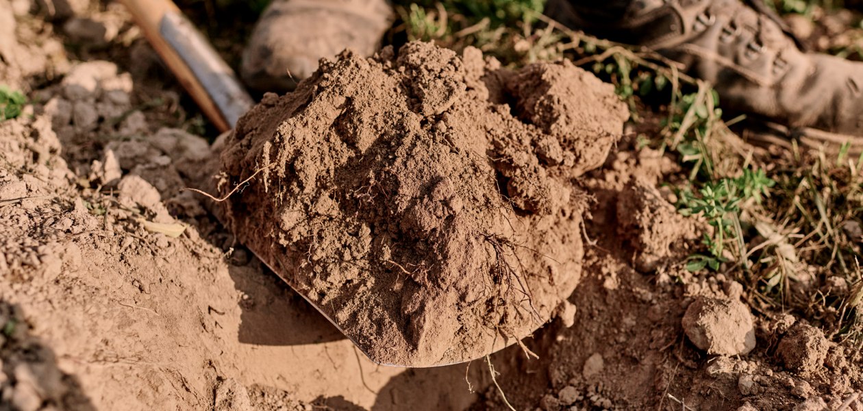 Weingut Sander_Lebendiger Boden, &copy; Weingut Sander