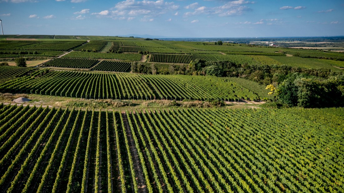 Alsheimer Frühmesse