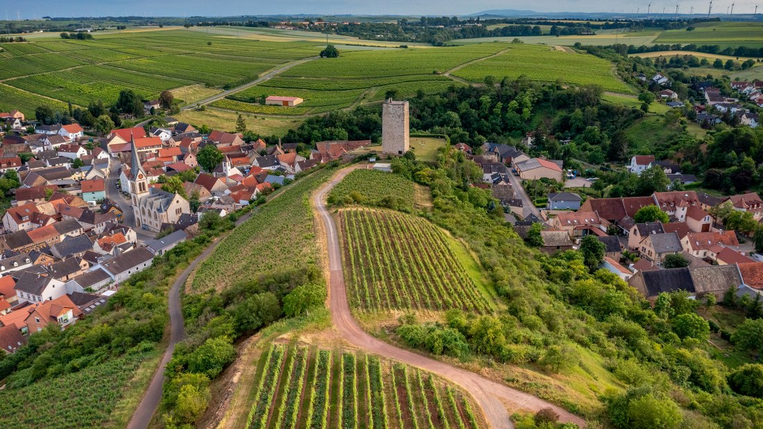 Niersteiner Schloß Schwabsburg